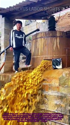 Large barrel washer cleans batches efficiently#YellowGingerCleaning #AgricultureProcessing