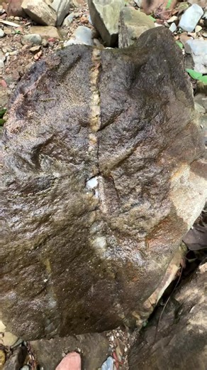 Gold Prospecting Tips for Beginners in 2026