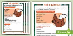 Red Squirrel Differentiated Fact File