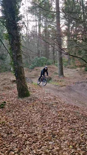 Discover the Thrill of Freeride Mountain Biking