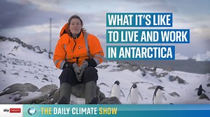 8K views · 68 reactions | This is what it's like to live and work in Antarctica 略 On the #DailyClimateShow we hear from scientists from the British Antarctic Survey whose work helps us better understand how climate change is affecting our planet. Catch the show at 6:30pm & 9:30pm: https://trib.al/jWUsQos | Sky News | Facebook