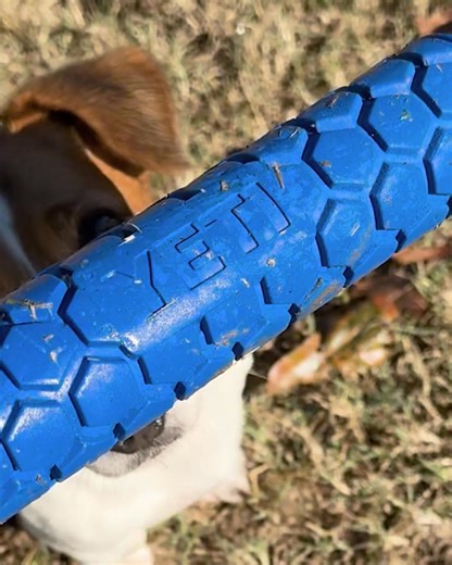 It’s time to teach those old dogs some new tricks. For our second drop of the week, we’re introducing our first-ever dog toys, the YETI™ Dog Ball and Bumper. | YETI