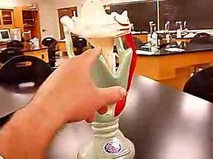 Larynx Model Anatomy