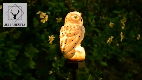 Solar Powered Garden Owl Decor - Outdoor Yard Statue for Outside Lawn Ornament Patio Decorative Waterproof Halloween Decorations Stake Bird Lights for Landscaping Backyard Christmas