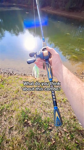 Are Quantum Reels Good?