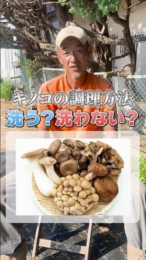 キノコの調理方法 洗う？洗わない？