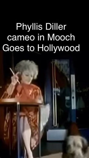 Phyllis Diller cameo in Mooch Goes to Hollywood (1974). Zsa Zsa Gabor is narrating. #phyllisdiller #dogmovie #cameo | The Phyllis Diller