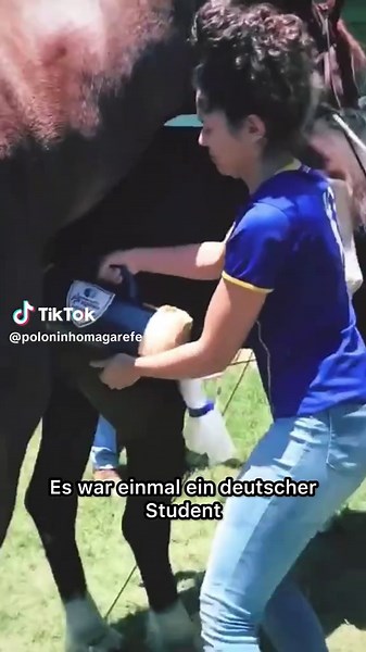 Die Träume eines Agronomie-Studenten auf der Farm