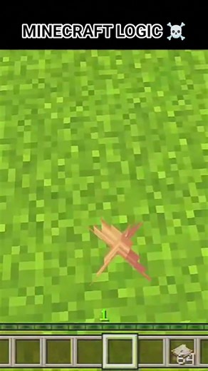 MINECRAFT LOGIC ☠️