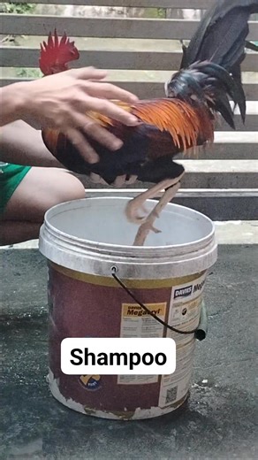 3K views · 19 reactions | Tutorial this video part of conditioning. | Cortes Tutorial Vlogs | Facebook