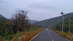 9.9K views · 500 reactions | Autumn breeze sweeps through Baoding Persimmon Valley, and the branches are heavy with ruby-like persimmons—each one glowing bright red, a perfect gift from the season | Go Baoding | Facebook
