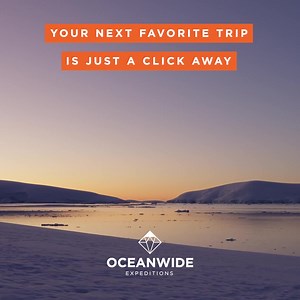 1.6K views · 1.7K reactions | Discover Antarctica's wildlife with Oceanwide Expeditions. Experience an unforgettable trip to Antarctica and see six penguin species, unusual birds and much more. Antarctica has so much to offer in terms of nature and wildlife. Discover it with us! | Oceanwide Expeditions | Facebook