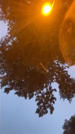 Snow fall view through light 💡