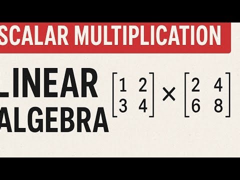 Linear algebra scalar multiplication