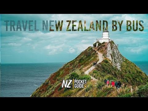 The Ultimate Guide to Travelling by Bus in New Zealand (+ Money-Saving Tips!)