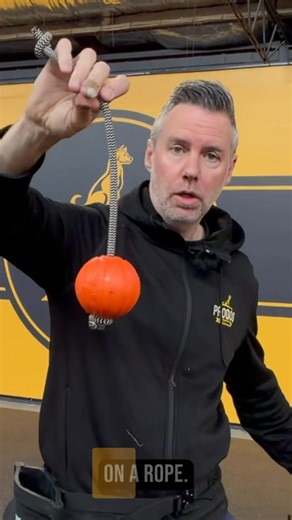 97K views · 1.3K reactions | Play Tutorial TARGET THE BALL ✅ Targeting ✅ Presentation ✅ Using the leash #dogplay #playwithyourdog #dogplaytutorial #doglover #dogtraining #puppytraining #workingdog #sportsdog #gsd #germanshepherd #melbournedogs #westfootscray #glenwaverley | Pro Dog Training | Facebook