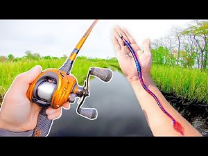 RECORD Day of BIG Worm Fishing! (LOADED w/ Bass)