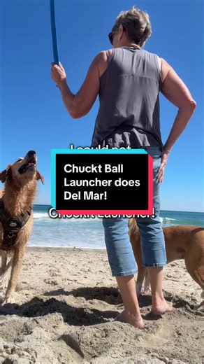 A different beach day today, down in Del Mar at their dog beach! Of course we brought the launchers and Chuckit Balls! These floating non-porous balls are all we bring to the beach, and the launcher is how we are able to throw the ball far enough for Buddy! Way out into the swimming water!! Fantastic day! #dogtoy #dogball #goldenretriever #buddythegoldenretriever