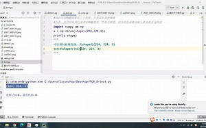 给三维np.array增加一个批维度