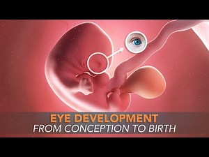 Baby Eye Development