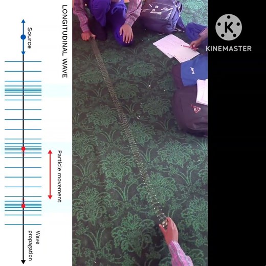 Longitudinal wave vs Transverse wave #sound #STEM #physicswallah #cbse #ncert #chemistry
