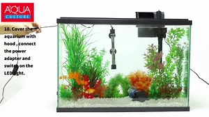 Aqua Culture 29G Glass Aquarium Starter Kit