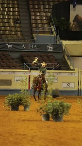 Dreaming of 𝙦𝙪𝙖𝙡𝙞𝙛𝙮𝙞𝙣𝙜 for the AQHA World Championship Show? Here’s how to do it by July 31 🏆 aqha.com/worldshow | American Quarter Horse Association