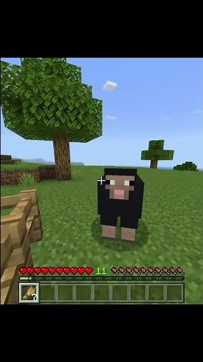 minecraft koyun neslinin devamlılığı için