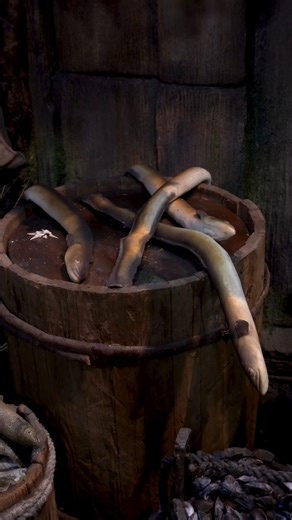 4.9K views · 71 reactions | Anyone else love the animals of JORVIK?!  #animals #vikings #york #history | Jorvik Viking Centre | Facebook