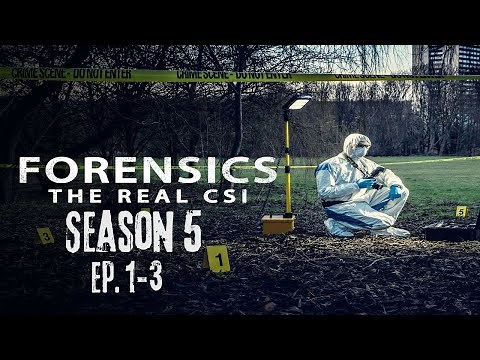 *NEW* Forensics: The Real CSI Season 5 | Episode 1-3 (True Crime Documentary)
