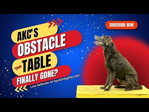 AKC Obstacle Table Finally Gone? | Dog Agility | Dog Agility Training
