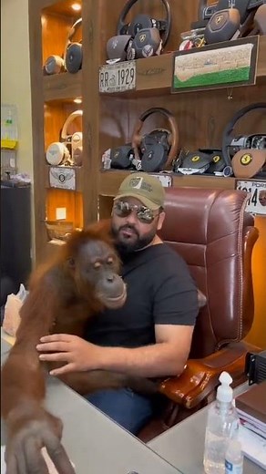 Extraordinary Wildlife Living with Humans: Heartwarming Stories of Coexistence, Conservation