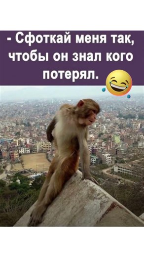 #смех #юмор #мем #shorts