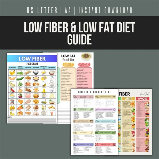 Low Fiber & Low Fat Diet Guide 4 in 1, Diet Food List, Low Fiber Diet, Low Fat Foods, Digestive Health, Eat Limit Avoid - Etsy