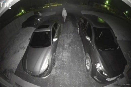 37K views · 81 reactions | Laurel County Sheriff's Office on Reels | Facebook