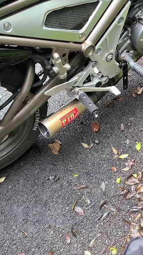 R1-Zミズノモータース集合管