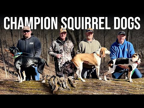 Squirrel Hunting with Champion Dogs! | Chad's Fastest Limit