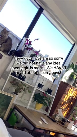 Basic Aussies on TikTok