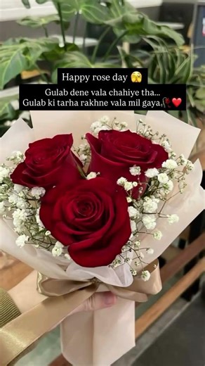 Happy rose day “A rose for you, and my heart with it 🌹❤️ #viral #valentinequotes #love #velentines
