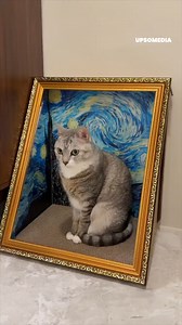 42K views · 3.5K reactions | This is truly real art, ladies and gentlemen  | Meow Meow | Facebook