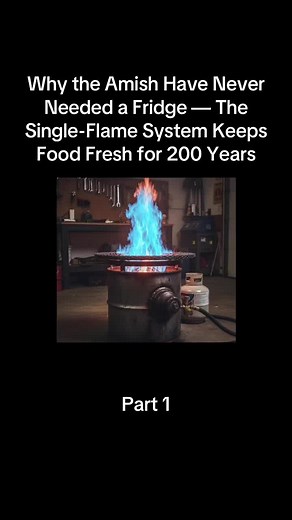 Why the Amish Never Needed a Fridge — Single‑Flame System