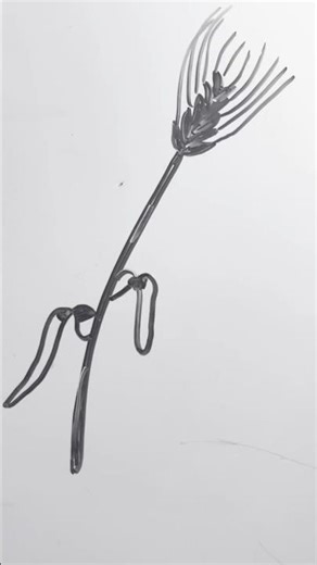 Easy Leaves Drawing Simple Sketch Coloring or Kids Step by Step Tutorial #youtubeshorts #shortsfeed