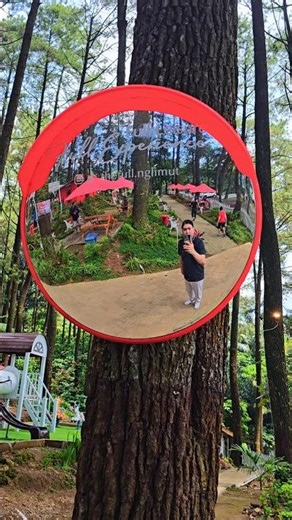 📍Pinusan Nglimut
