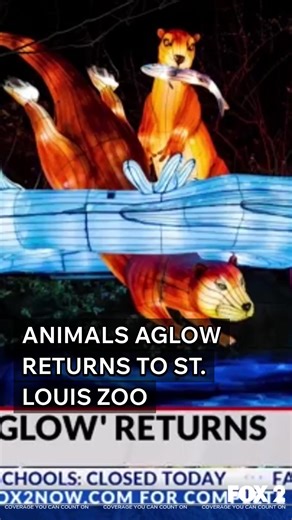 The Chinese Lantern Festival, Animals Aglow, is back at the St. Louis Zoo this spring! Experience the culture, art, and beauty of traditional Chinese lantern festivals with over 60 new glowing displays of animals, plants, and Chinese elements. Runs March 13th - May 17th. | Fox2Now