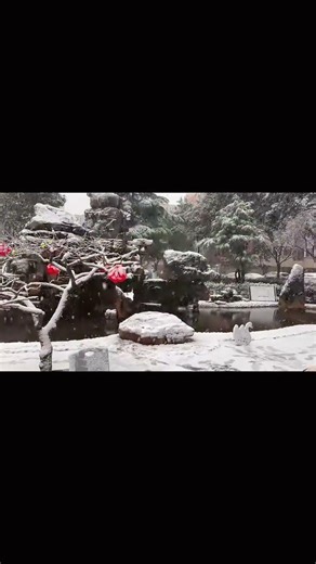 Spring's Sad Symphony: A Blossom Turned into a Poem