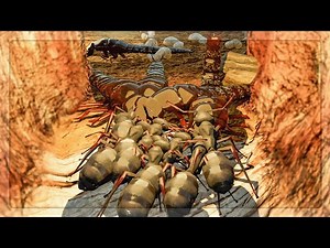 I STARTED A BRAND NEW ANT COLONY in Empires Of The Undergrowth