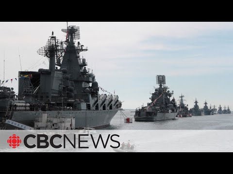 Ukraine announces 'humanitarian corridor' for ships stuck in Black Sea ports