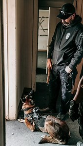 20 reactions · 3 comments | A little view of some of our K9 training...from Ronin's point of view. Our K9s go through frequent trainings to keep their skills sharp. This training consisted of room and vehicle searches for narcotics.  ••• #K9 #K9Training #WestCovina #WCPD #K9Unit #Training #Skills #Malinois #Community #Safety Friends of West Covina Canines | West Covina Police Department | Facebook