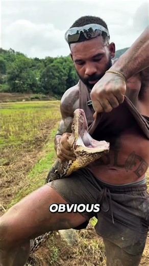 🐍🦷 Why Are a Python’s Teeth Bent Backward?#explorepage#viral#explain#explorer#trending