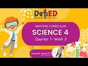 SCIENCE 4 MATATAG QUARTER 1 WEEK 3